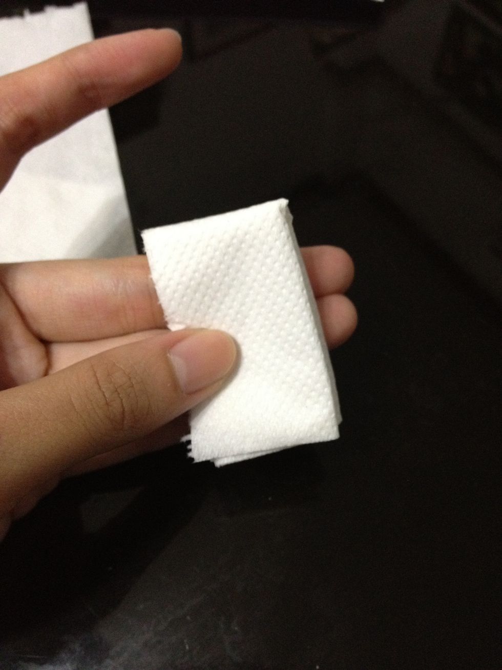 Fold in half downwards.