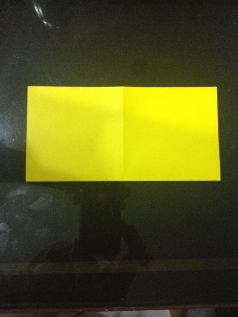 Fold in half from bottom to top.