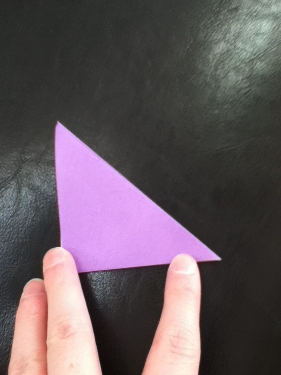 Fold in half horizontally.