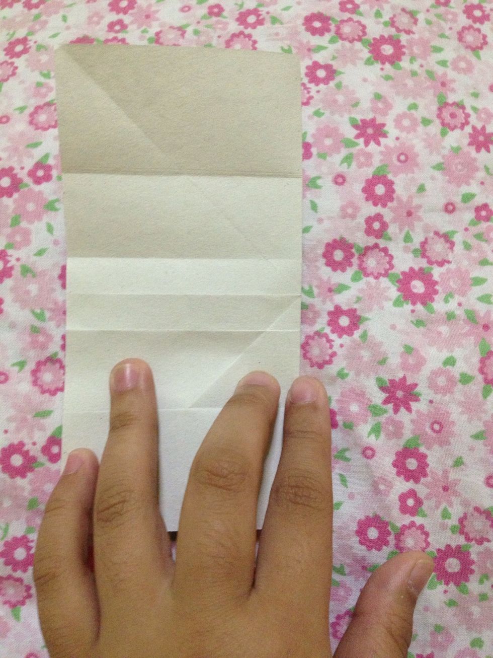 Fold in half sideways. Fold this (where my index finger is pointing) part 1/3 to the left. And unfold.