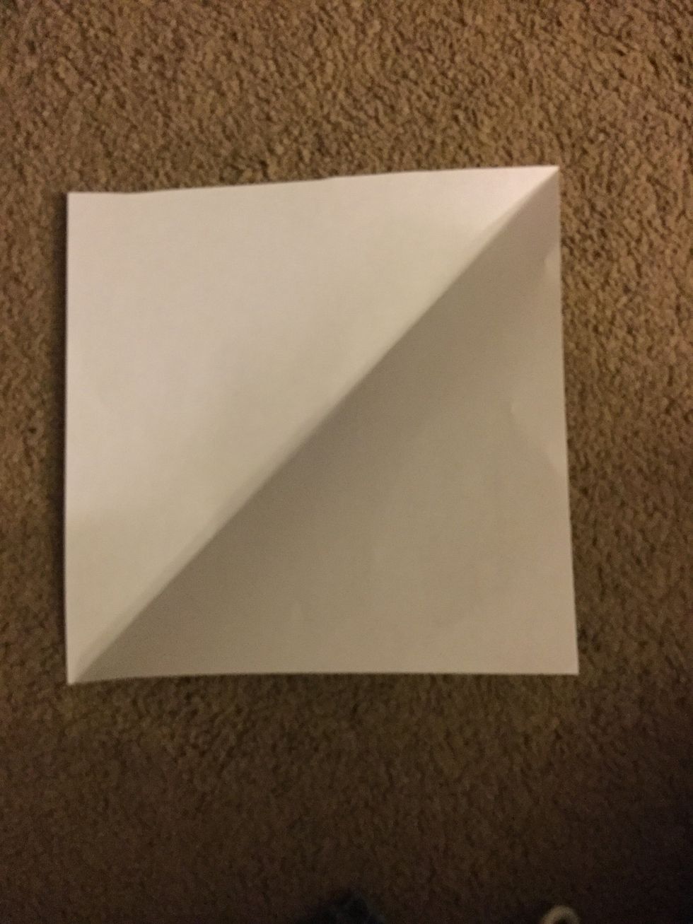 Fold in half to make a triangle