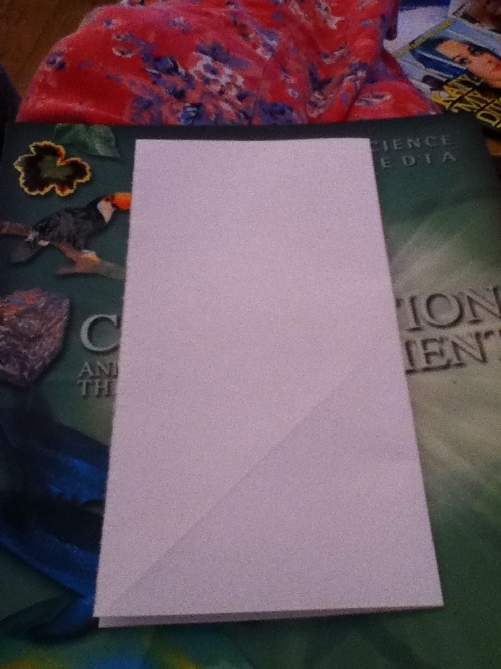 Fold in half to the left