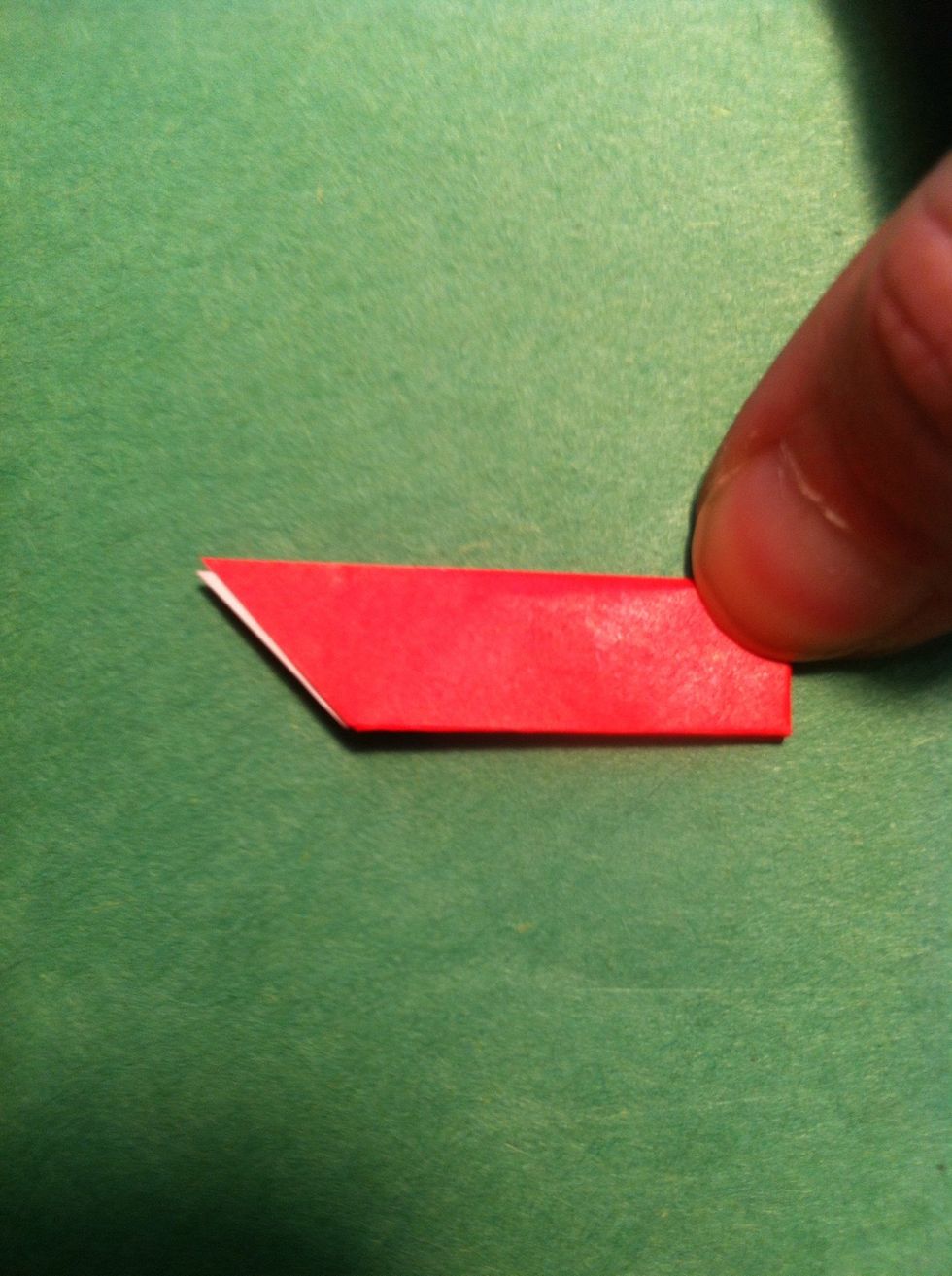 Fold in half (top to bottom).