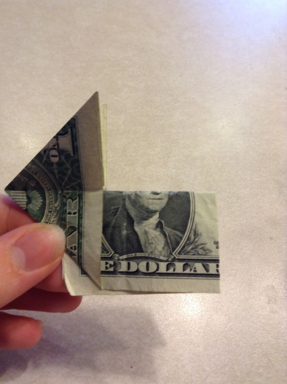 Fold in half