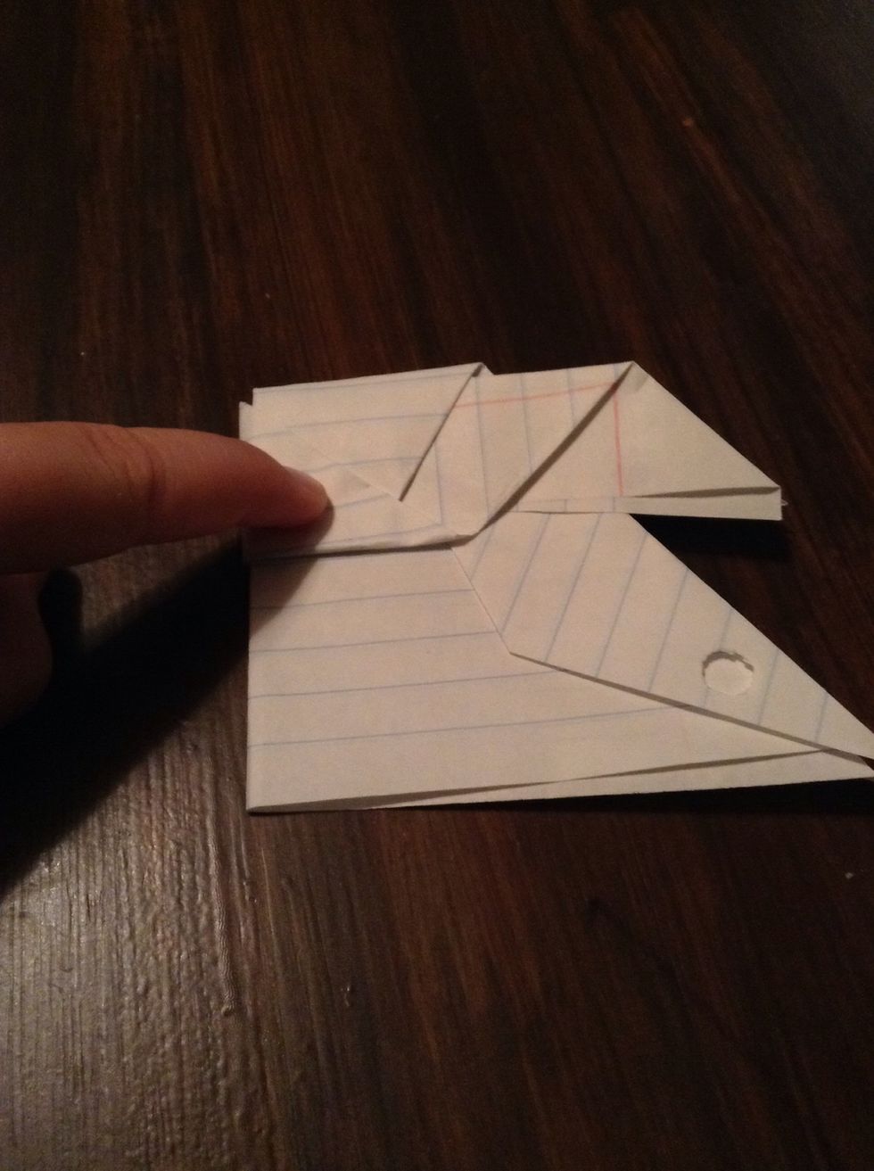 Fold in half.