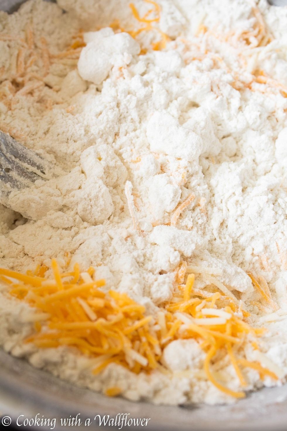 Fold in the cheddar cheese until they are well distributed in the dough.