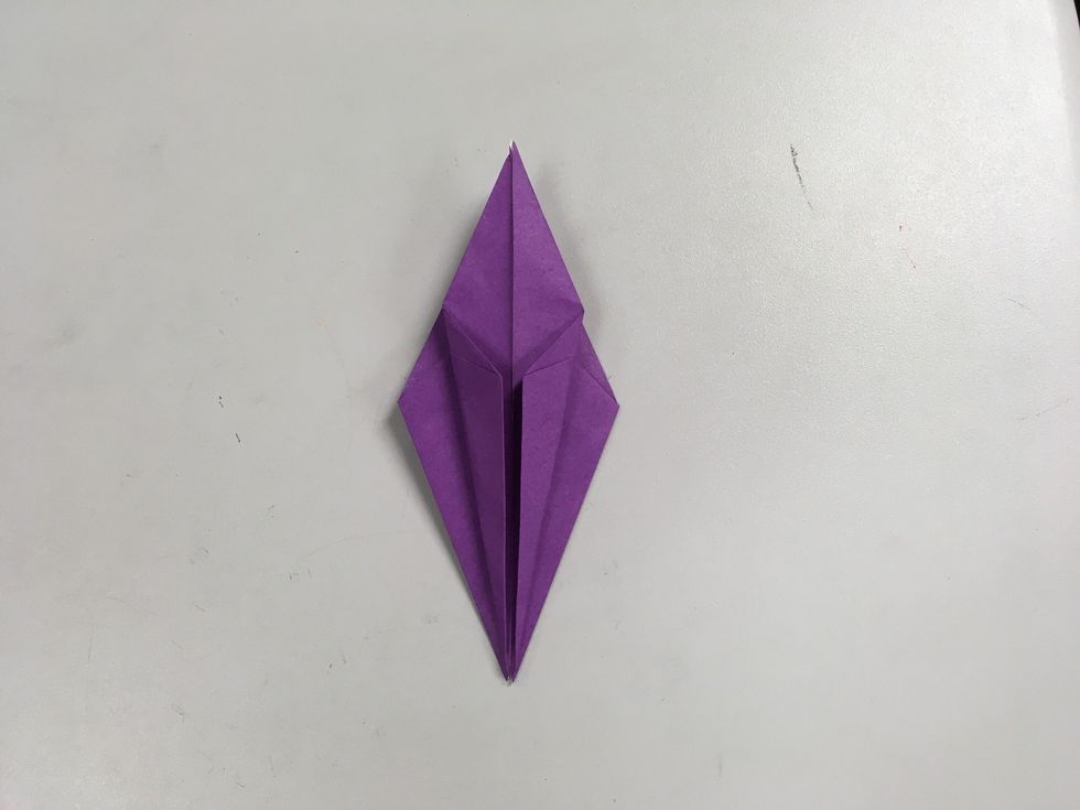 Fold in the two sides to the center line.