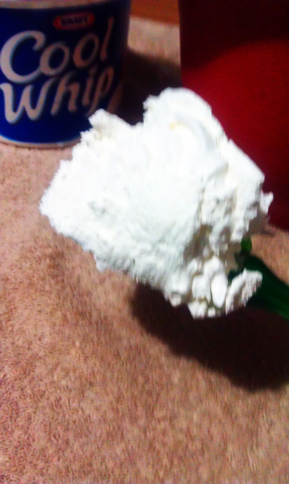 Fold in the whipped topping with the rubber spatula. ( Folding is taking the bottom of the mix, to the top. Only fold in about this much at a time.)