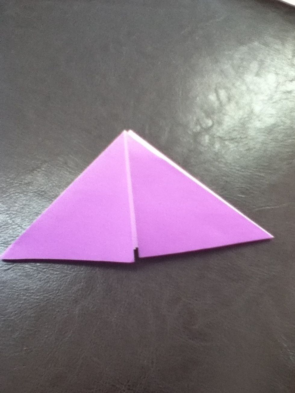 Fold it bottom corner to top.