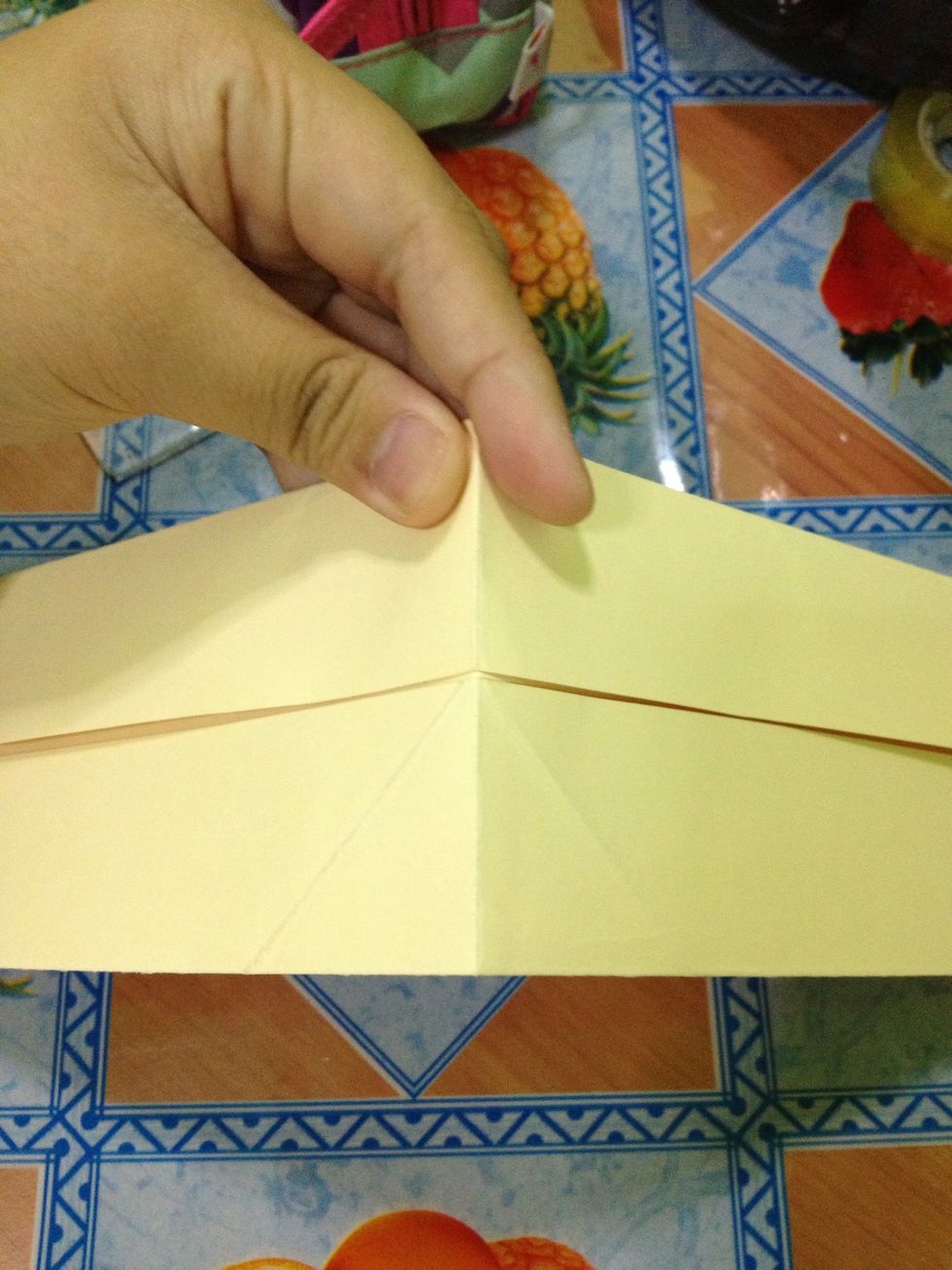 Fold it in half again (as shown above).