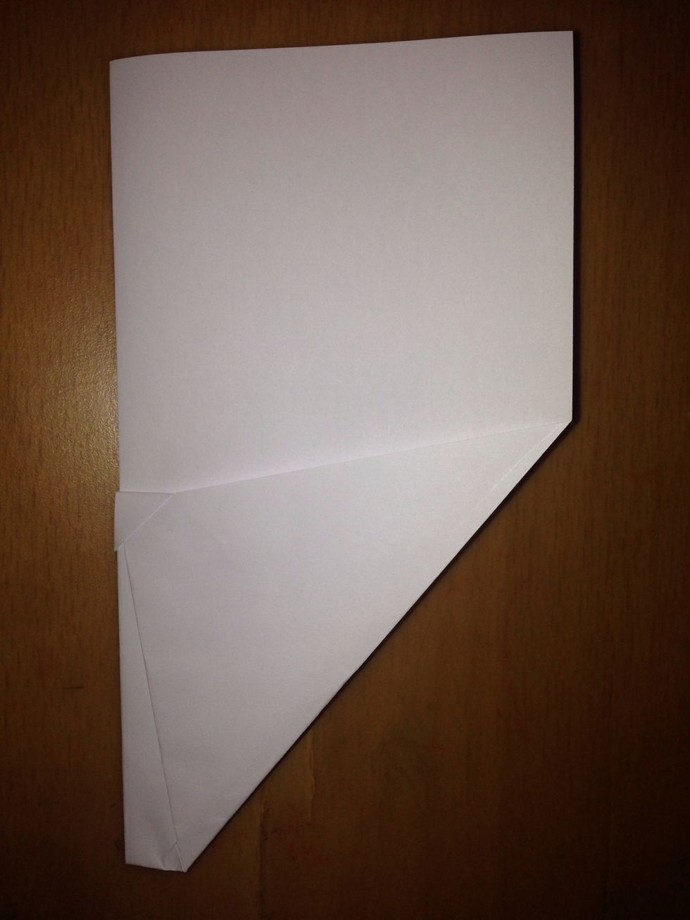 Fold it in half again