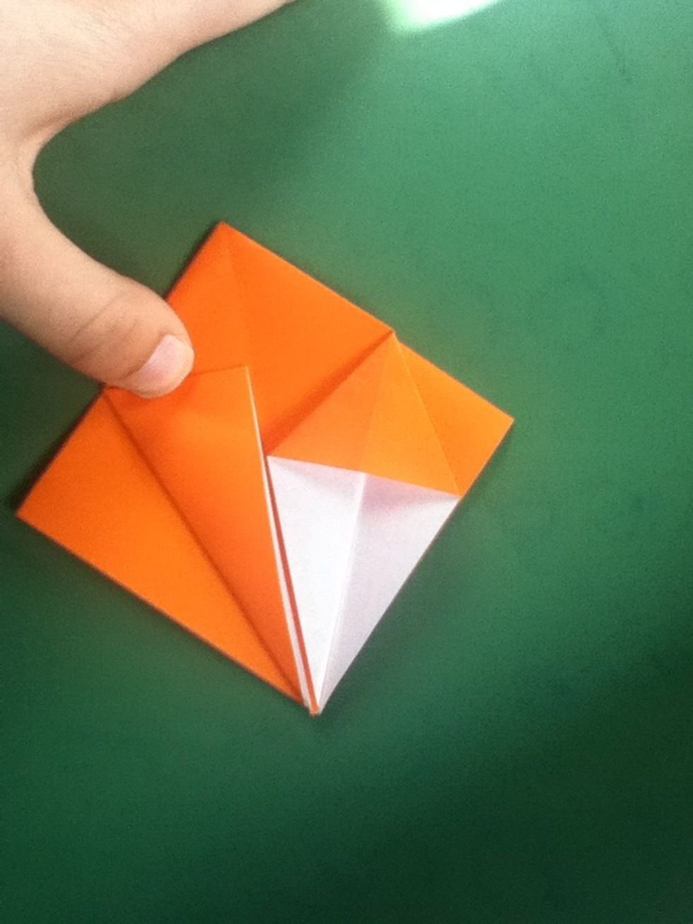 Fold left side of top layer to the center crease. Lift and squash flap like you did with the other side