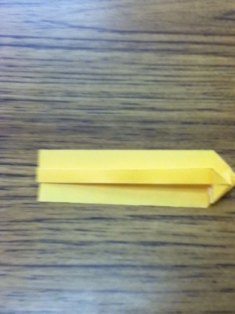 Fold lengthwise starting with a corner