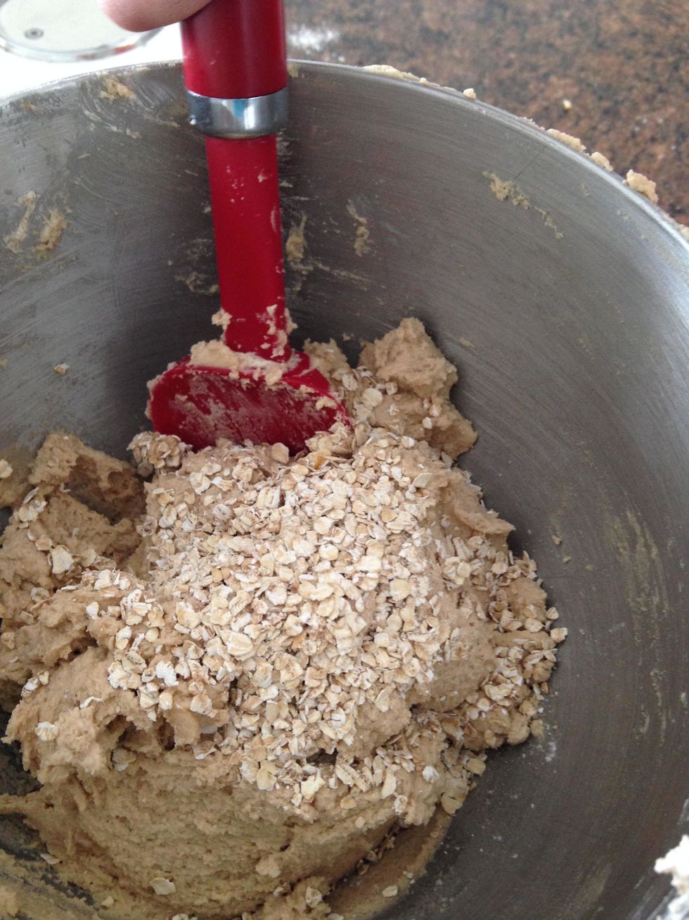 Fold oats and nuts (optional) manually