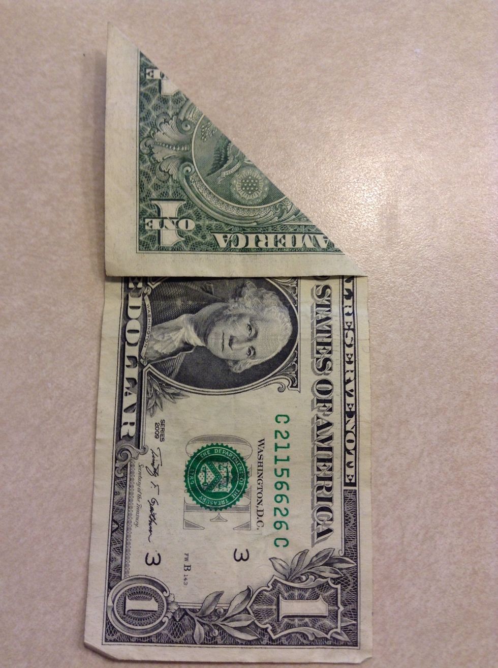 Fold one corner down so that it makes a point and lines up with the opposite side of the bill