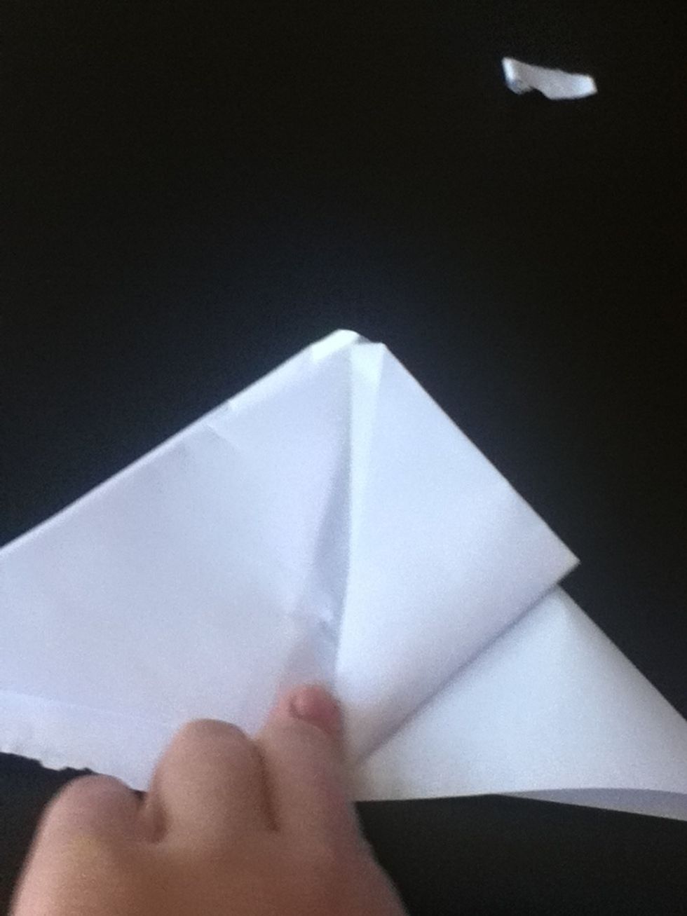 Fold one corner up to the top corner.