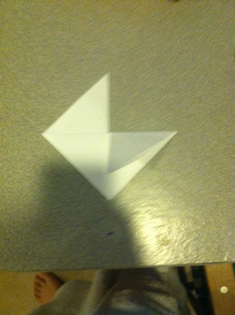 Fold one of the top corners down (doesn't matter which one).