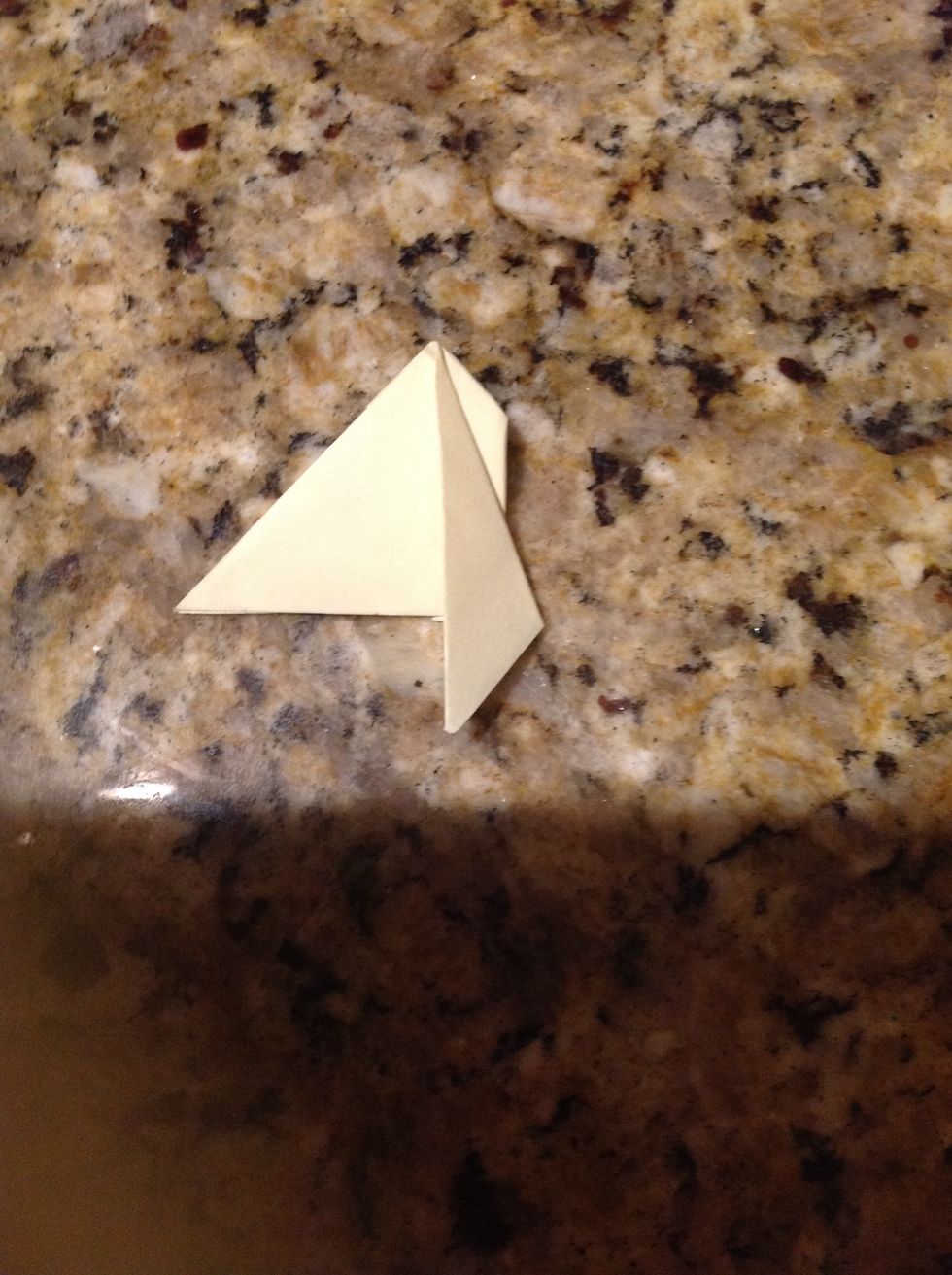 Fold one side down so the side that was on the outside is now in the middle.