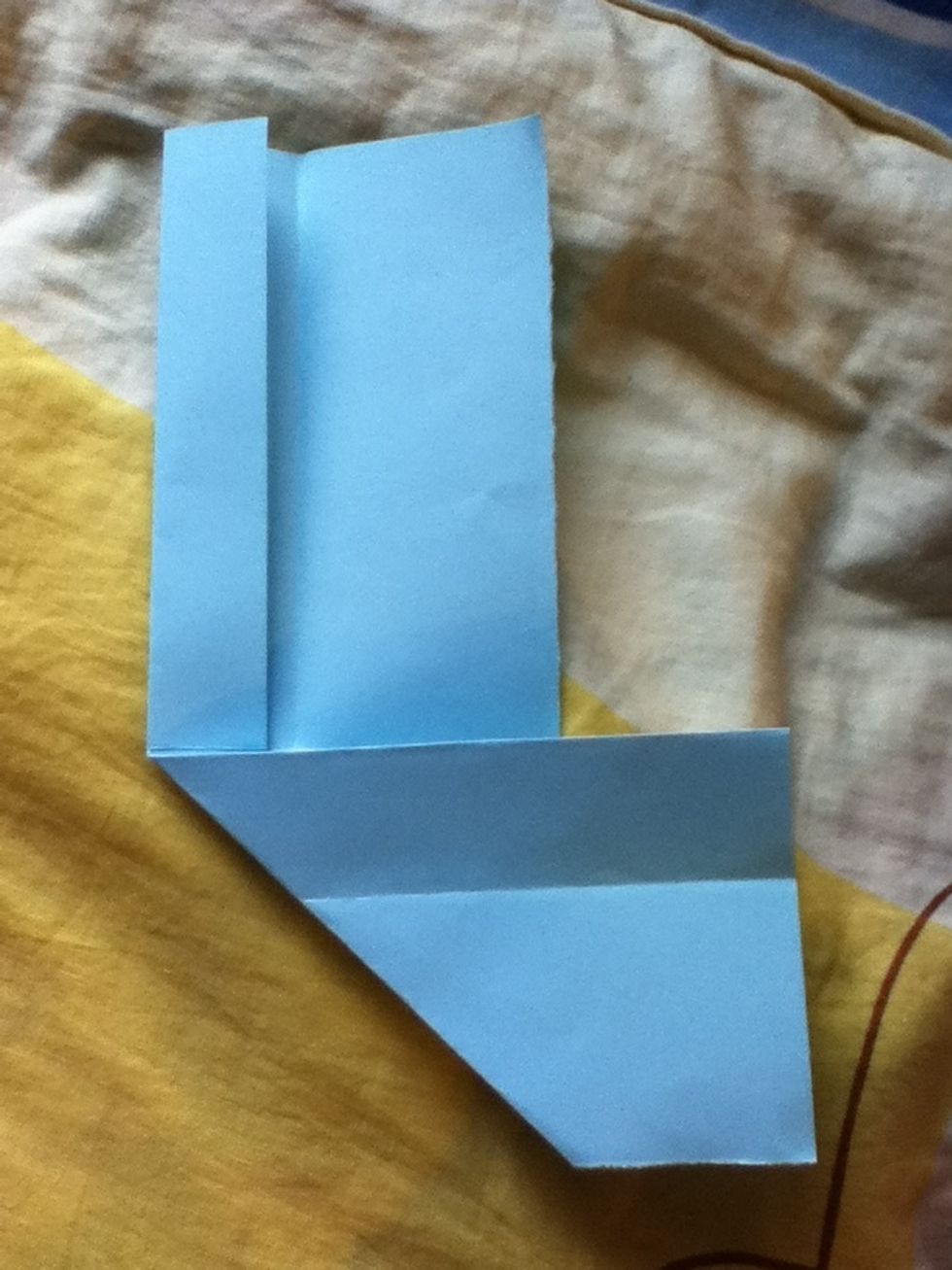 Fold one side toward the middle line...