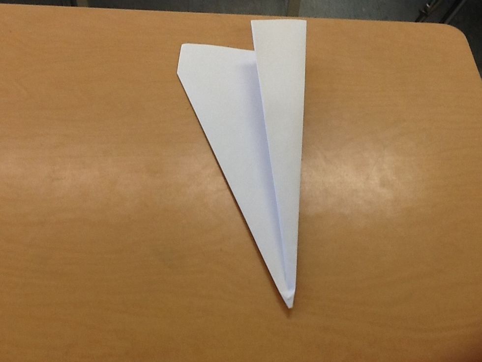 Fold one wing in half.