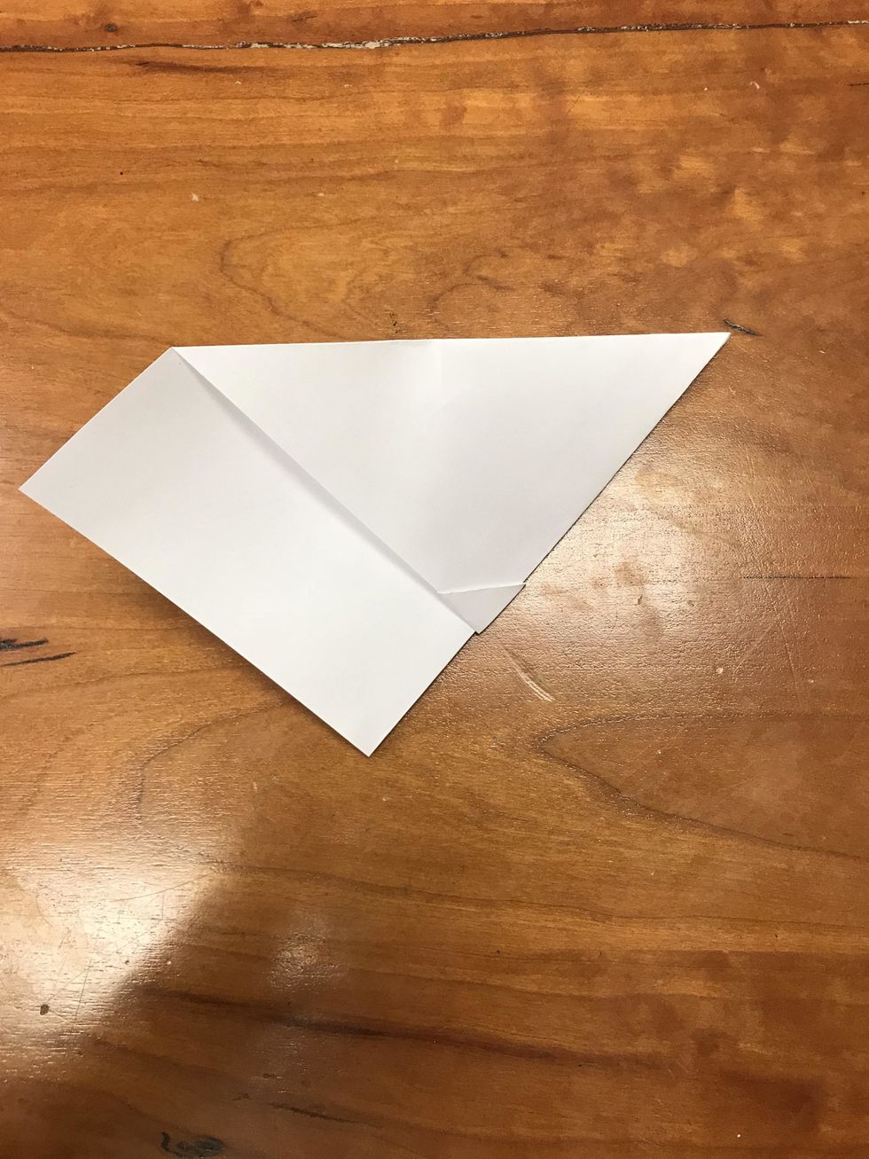 Fold over center line so triangle flap shows
