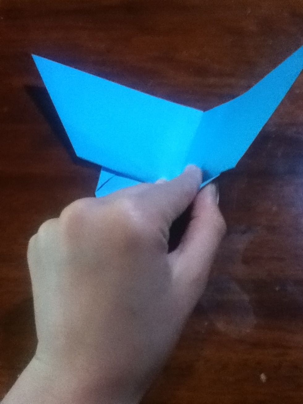 Fold over so the right edge meets the left edge