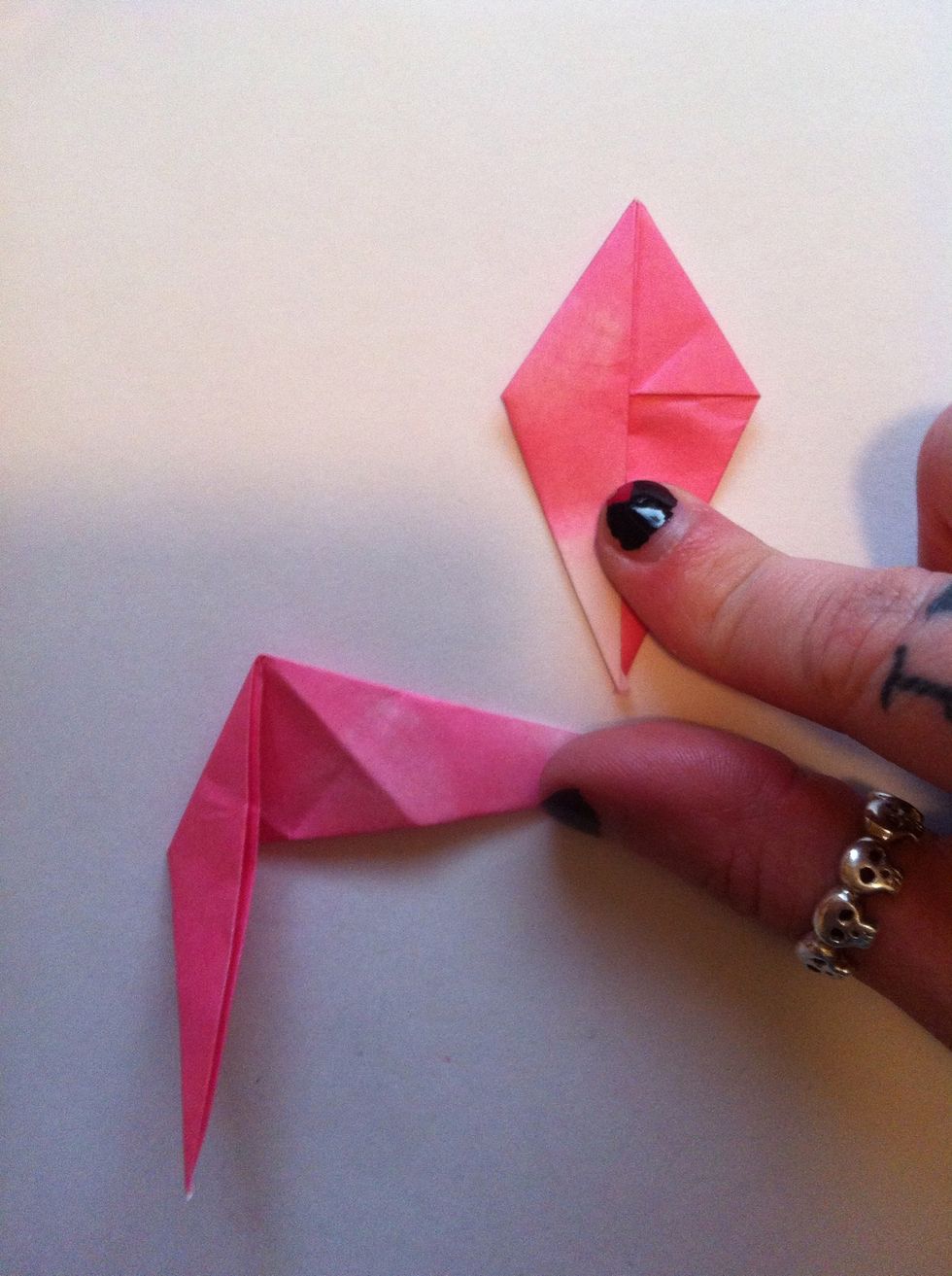 Fold right side down onto back.