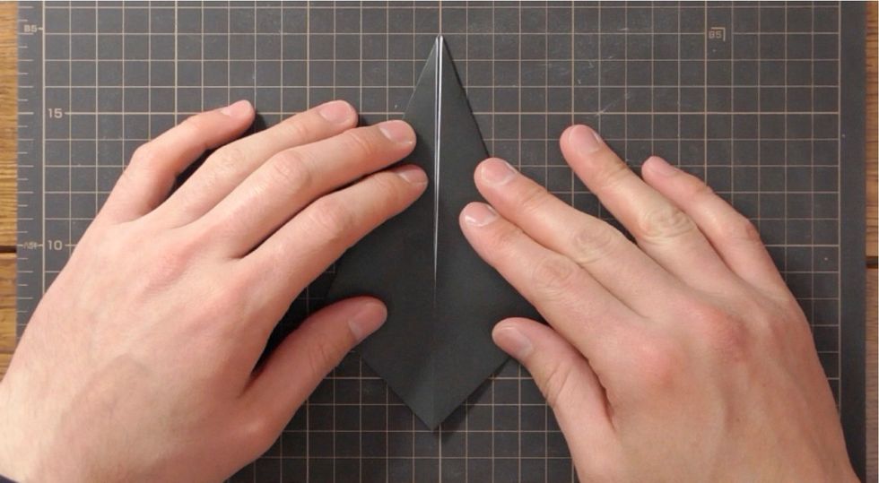 Fold sides down to meet at center crease.