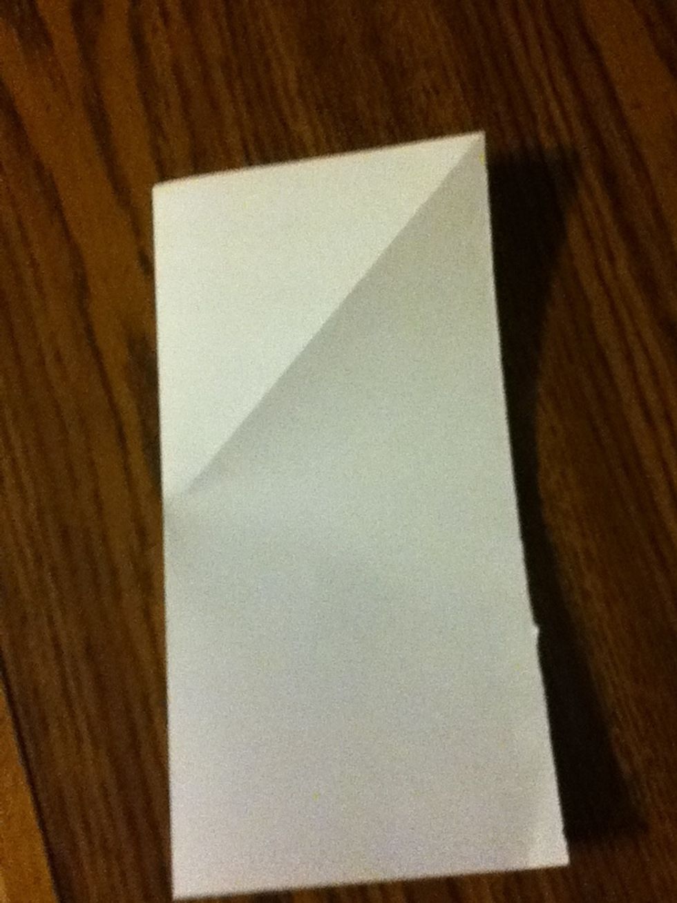 Fold square in half.