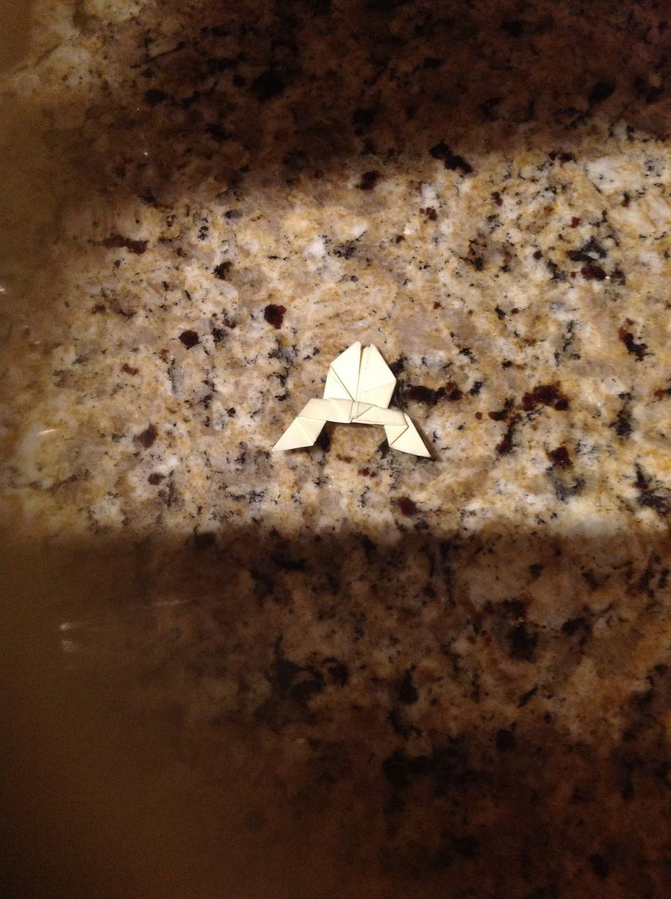 Fold the bottom flap in half the other way, towards the bottom (accordion-style).