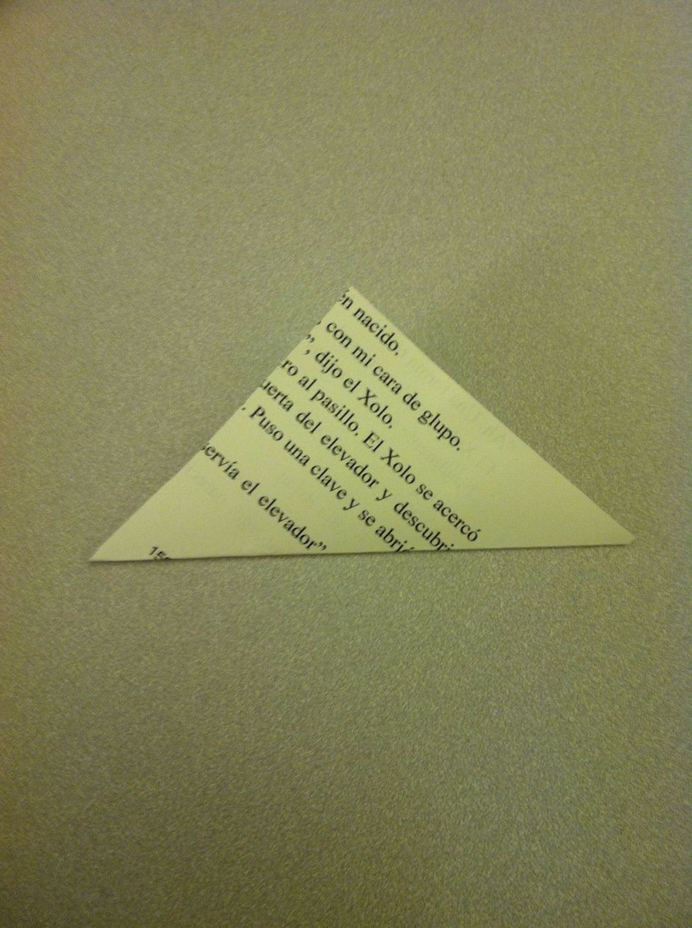 Fold the bottom over to create a triangle