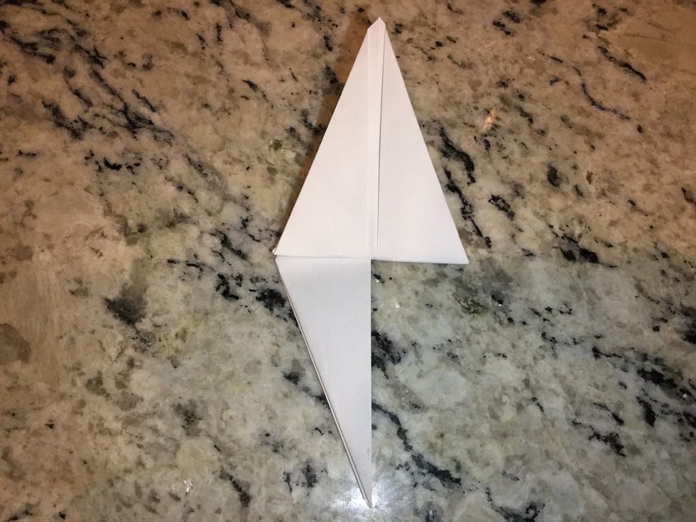 Fold the bottom triangle in line with the top triangle