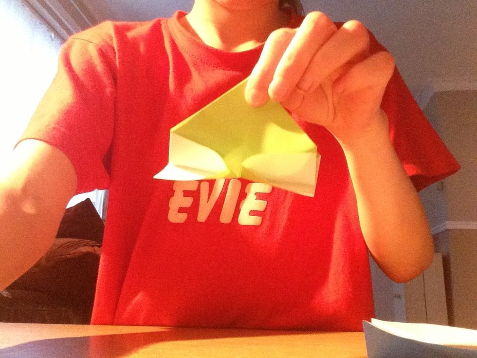 Fold the bottom up to the top and DONT crease yet