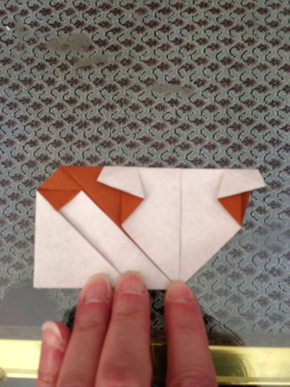 Fold the corner by the tail down to expose the brown color. Pull the cat's ears up (unless you are making an origami Scottish fold kitty--then the ears can stay as they are).
