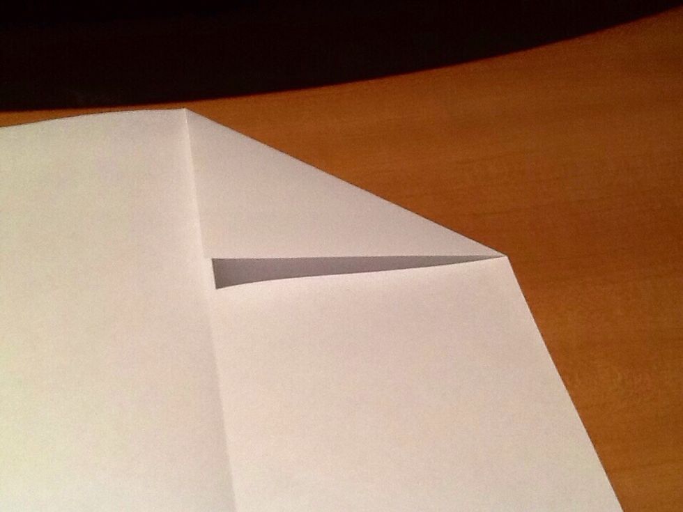 Fold the corner down to the middle.