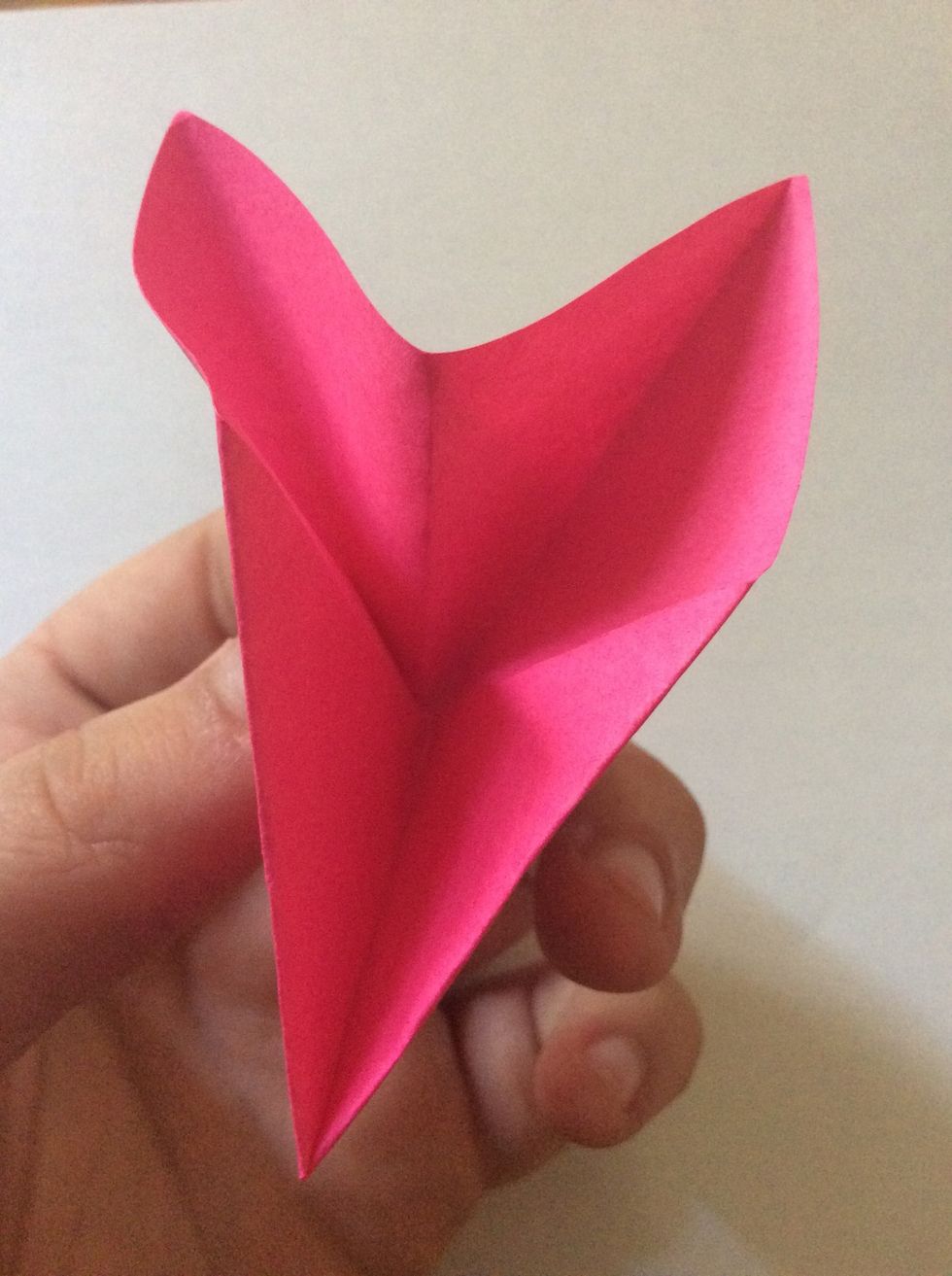 Fold the end inside and fold