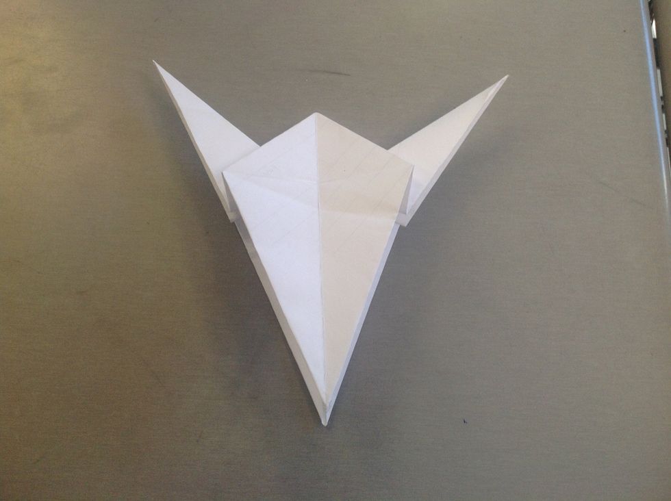Fold the flap on the side to create the head and tail