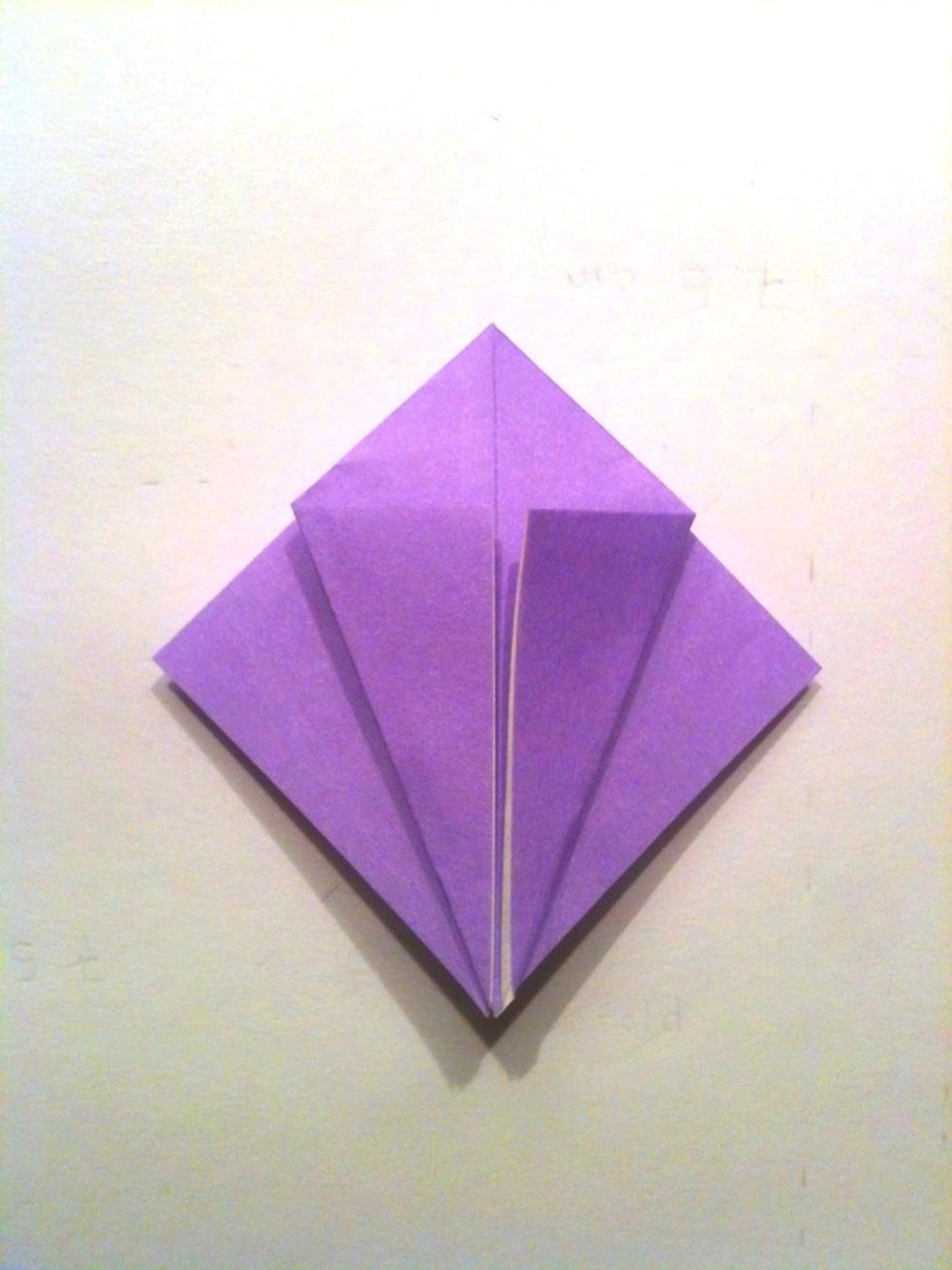 Fold the horizontal corners towards each other, making sure that the bottom sides are parallel to each other and are also aligned with the center line.