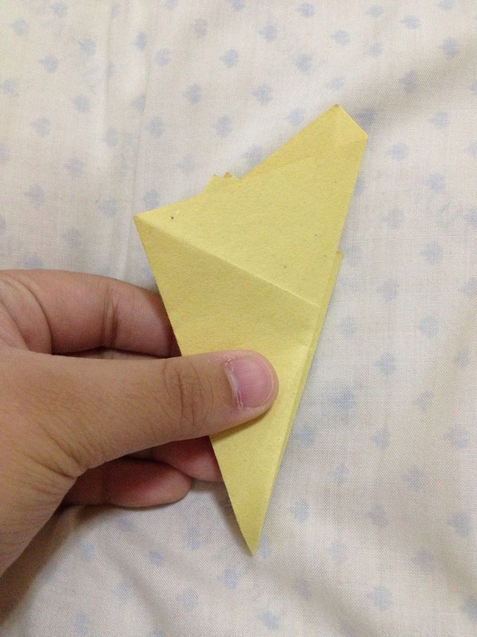 Fold the left edge to the right edge.