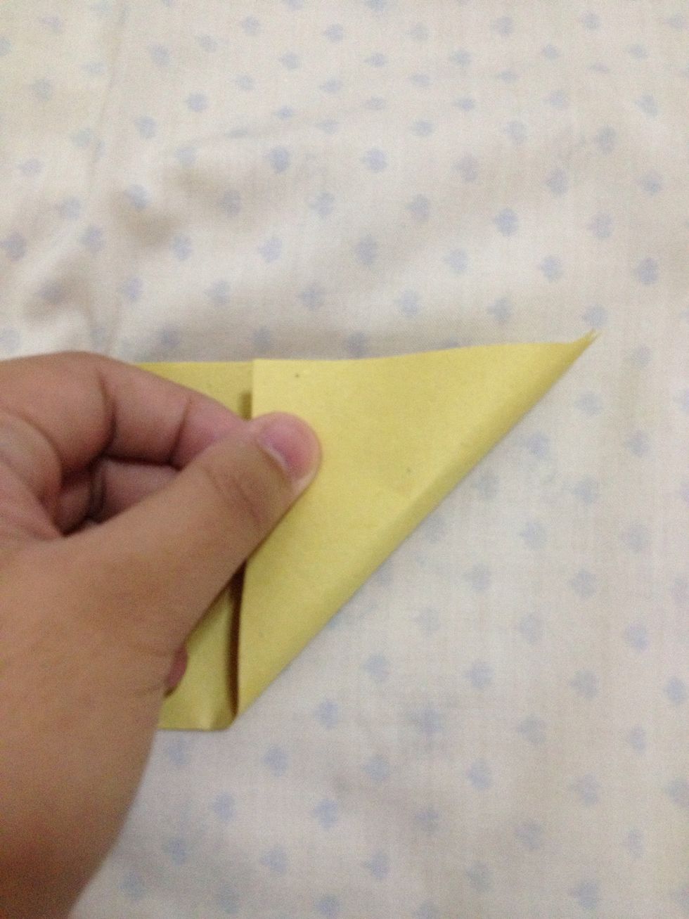 Fold the lower right corner upward and unfold.