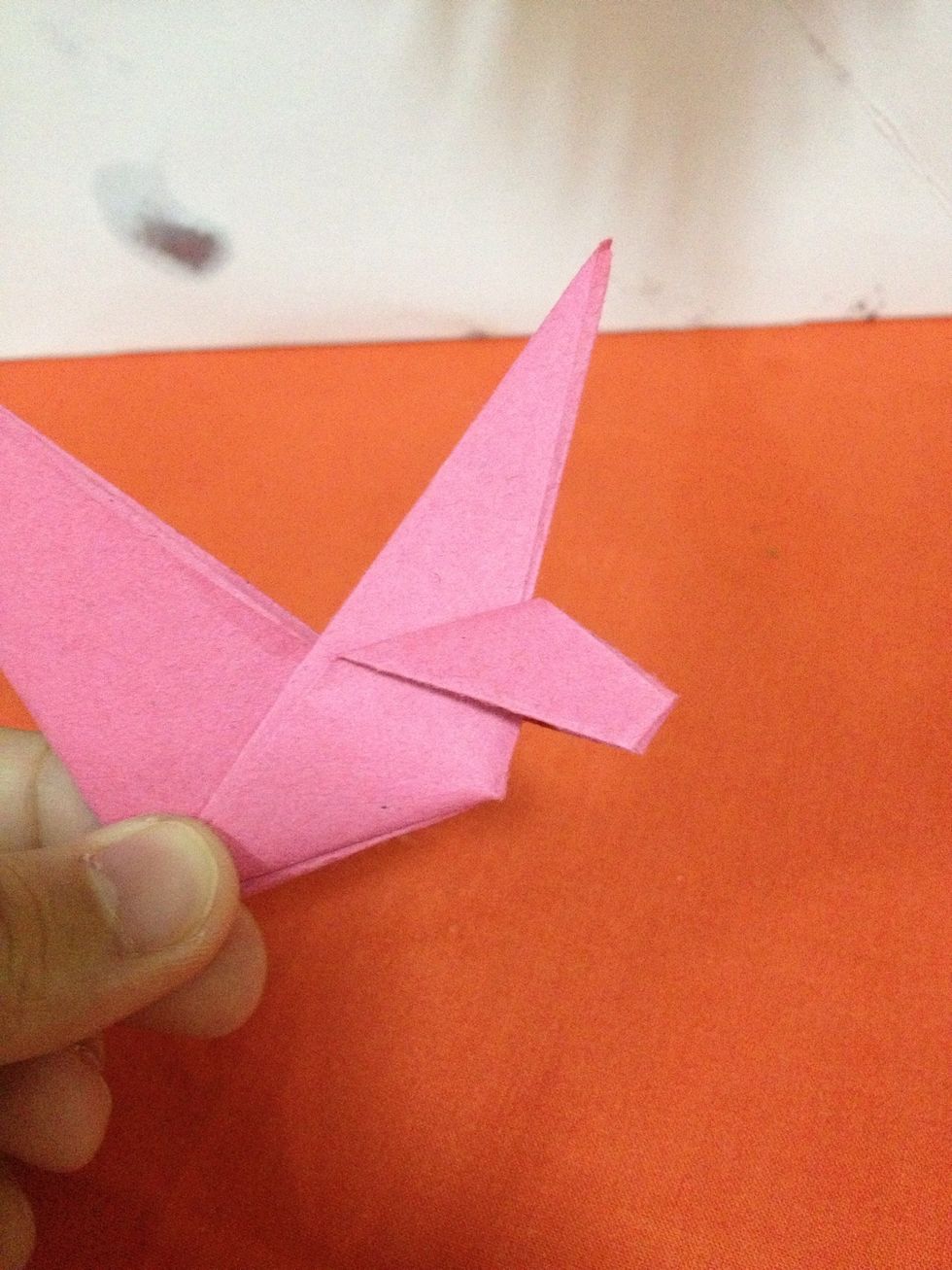 Fold the muzzle.