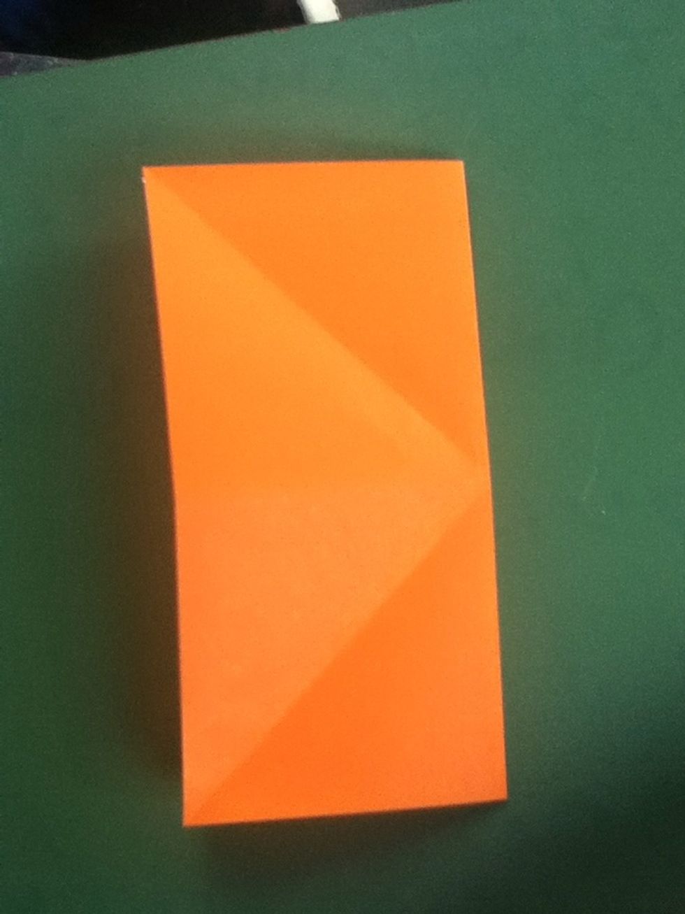 Fold the other half; crease