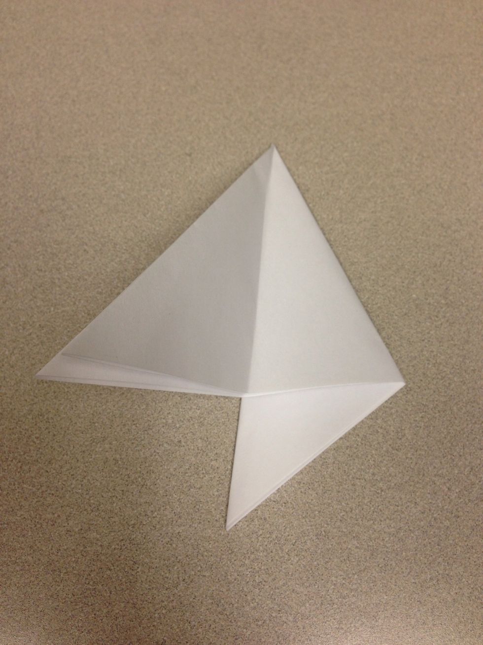 Fold the other one third to the opposite side