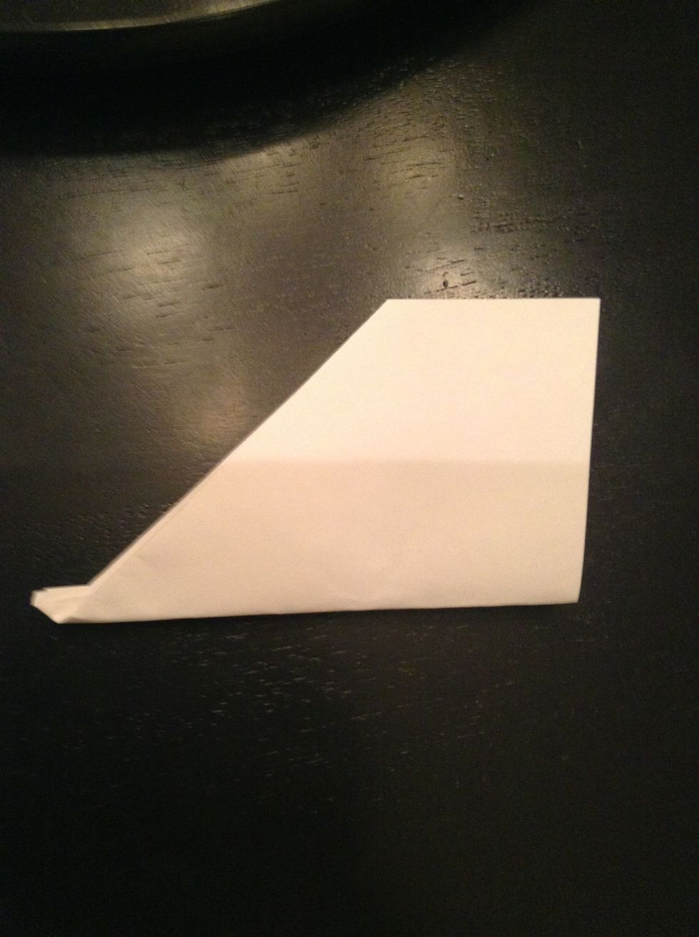 Fold the other side down so they line up