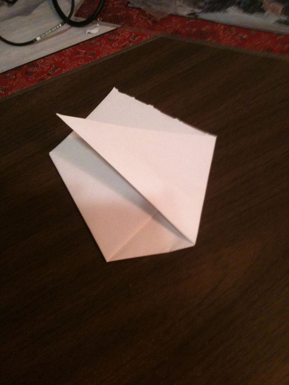 Fold the other side over