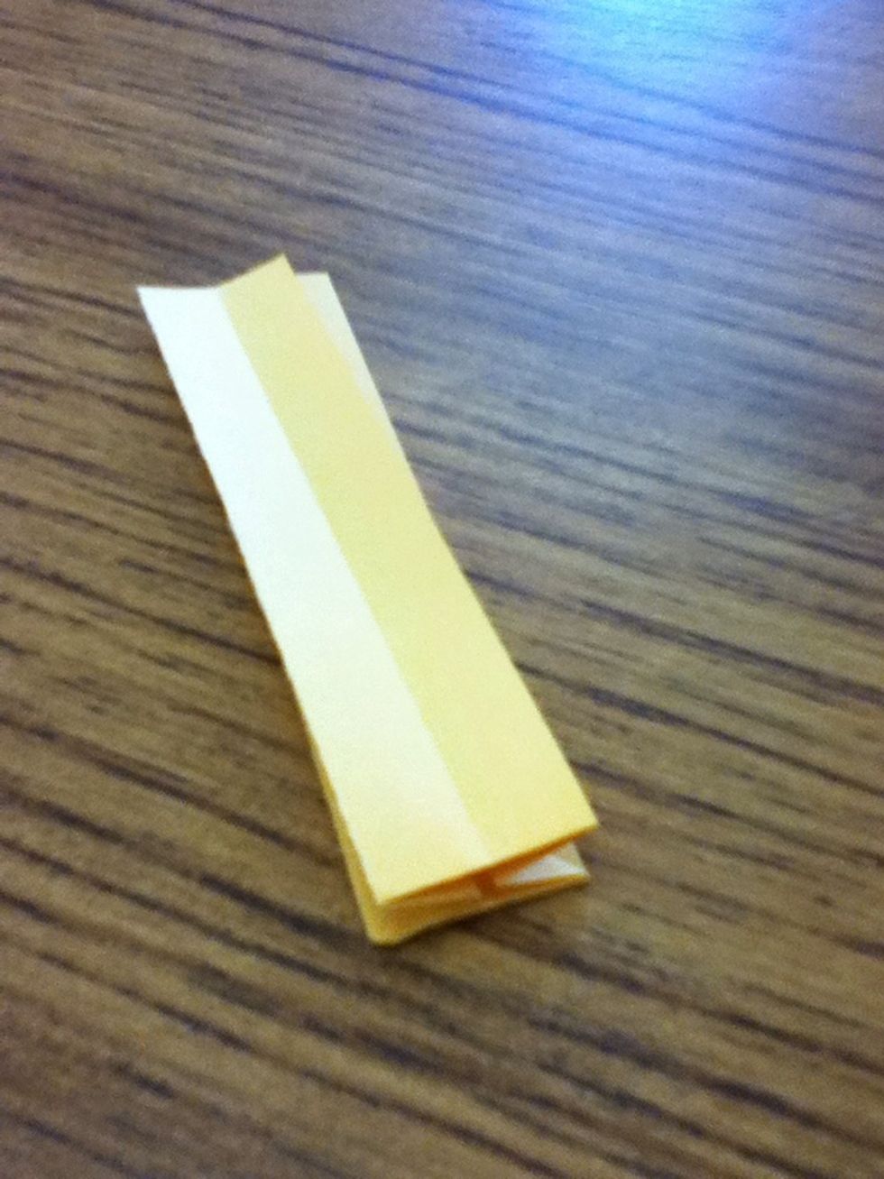 Fold the other side the same way