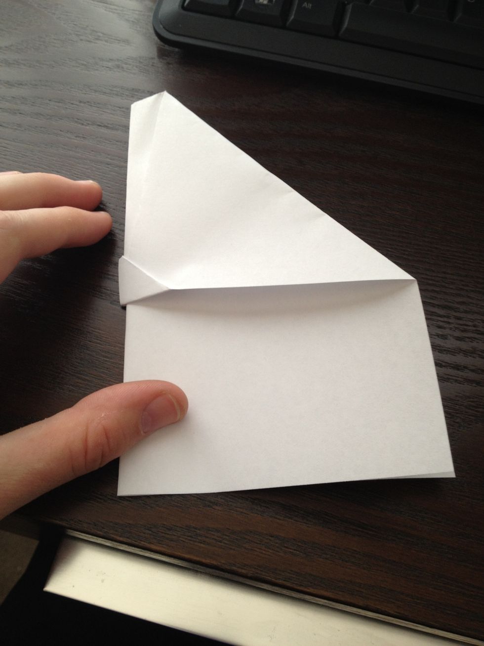 Fold the paper back along the midline again.