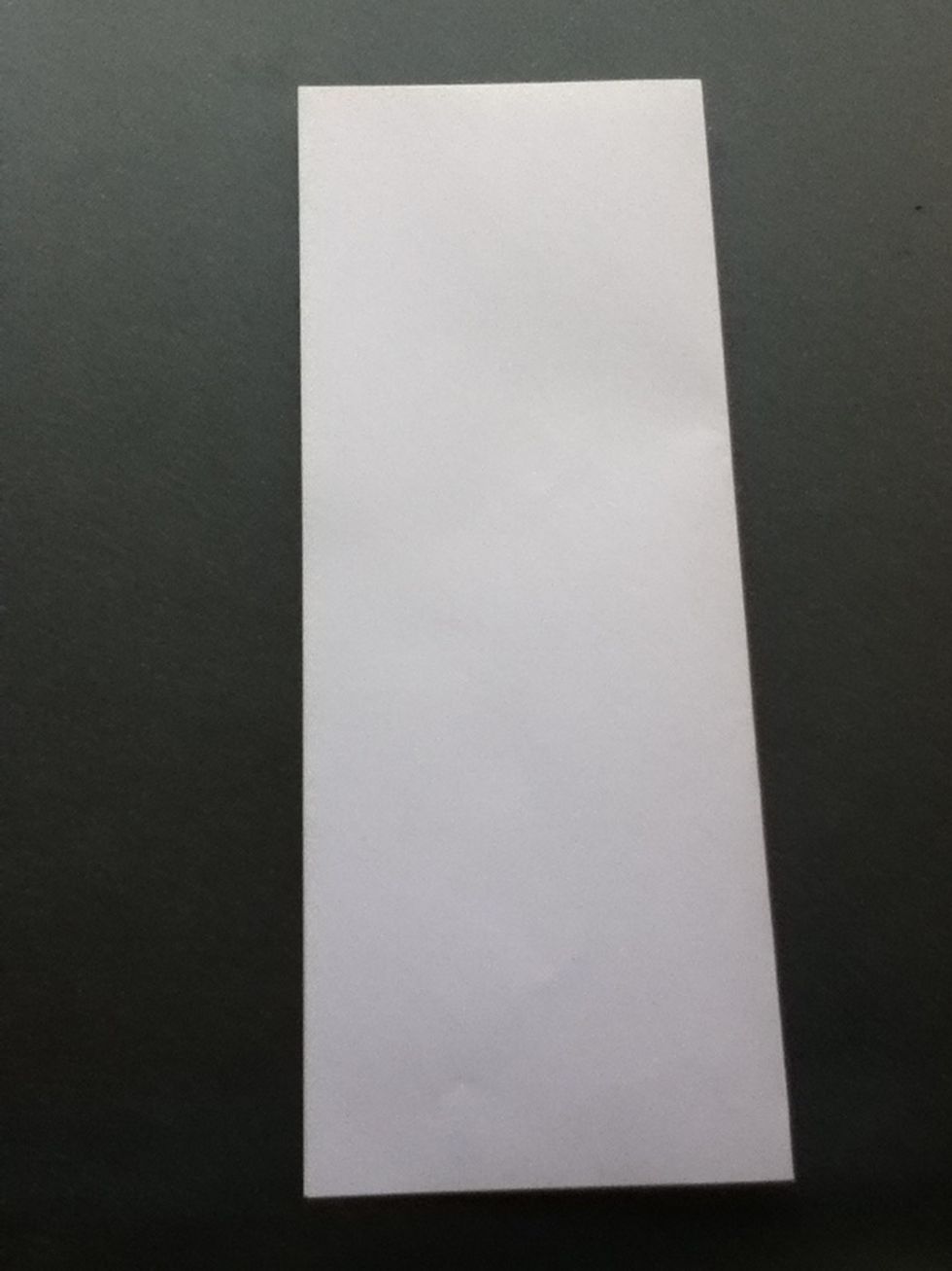 Fold the paper in half the long way.
