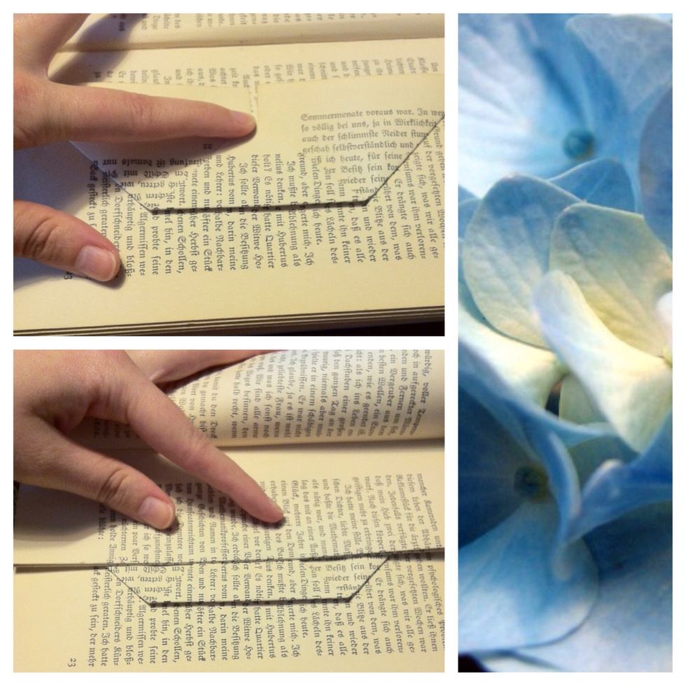 Fold the peak of the triangle up, so that it becomes a trapeze. Make sure, that the up-folded peak is fully covered by the page before!