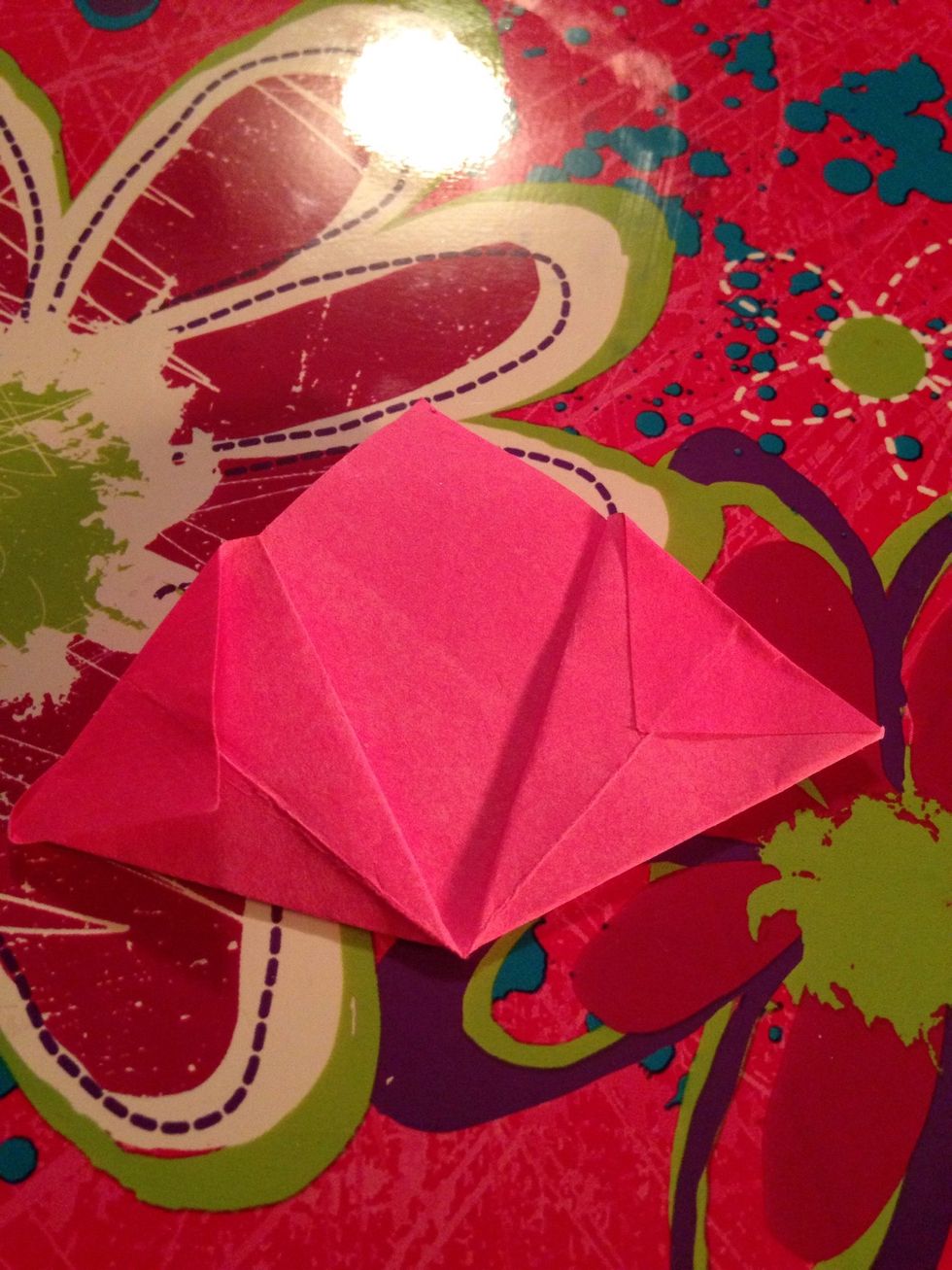 Fold the point down so it lines up with the crease